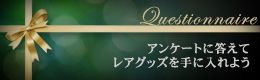 アンケートに答えてレアグッズを手に入れよう