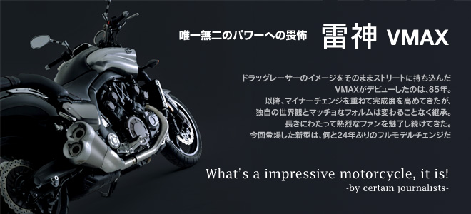 唯一無二のパワーへの畏怖 雷神 VMAX